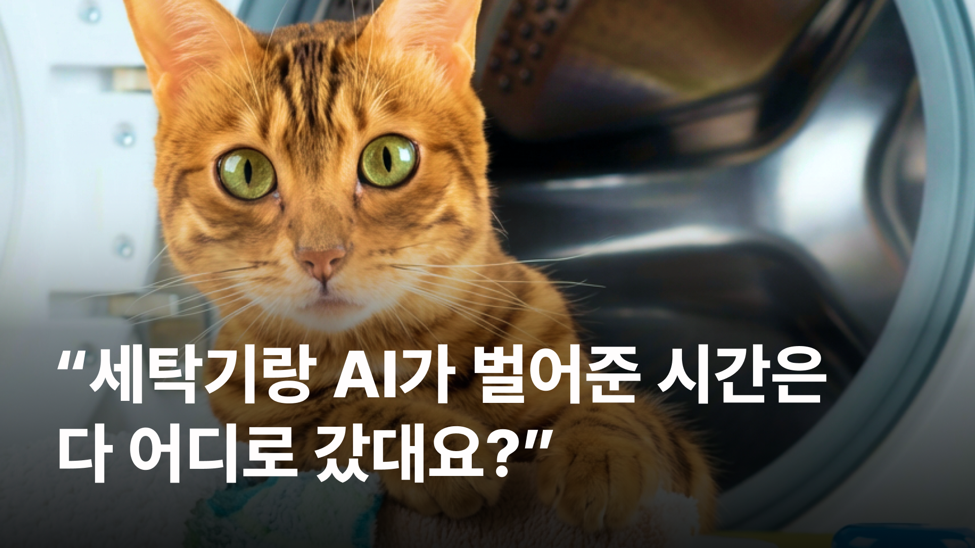 오늘의 인사이트 썸네일